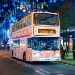See Christmas Lights on the Afternoon Tea Bus
