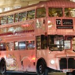 Christmas Lights Singalong